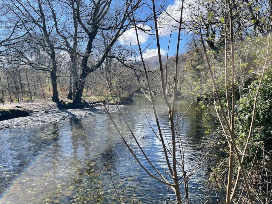 5 Minutes From Loch Lomond - Newly Renovated Ground Floor 1-Bed Flat Διαμέρισμα Bonhill Εξωτερικό φωτογραφία